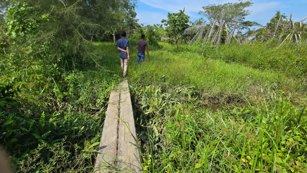 Jalan menuju area yang direhabilitasi Samsir dan Kelompok Tani Nipah di Kwala Serapuh, Tanjung Pura, Kab. Langkat, Sumatera Utara pada Senin, 30 Maret 2026. (Foto: dok. Konde.co/Salsabila Putri Pertiwi)