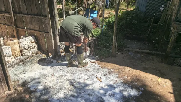 Kegiatan mengepul karet (Foto: dok. Konde.co/Luthfi Maulana A.)